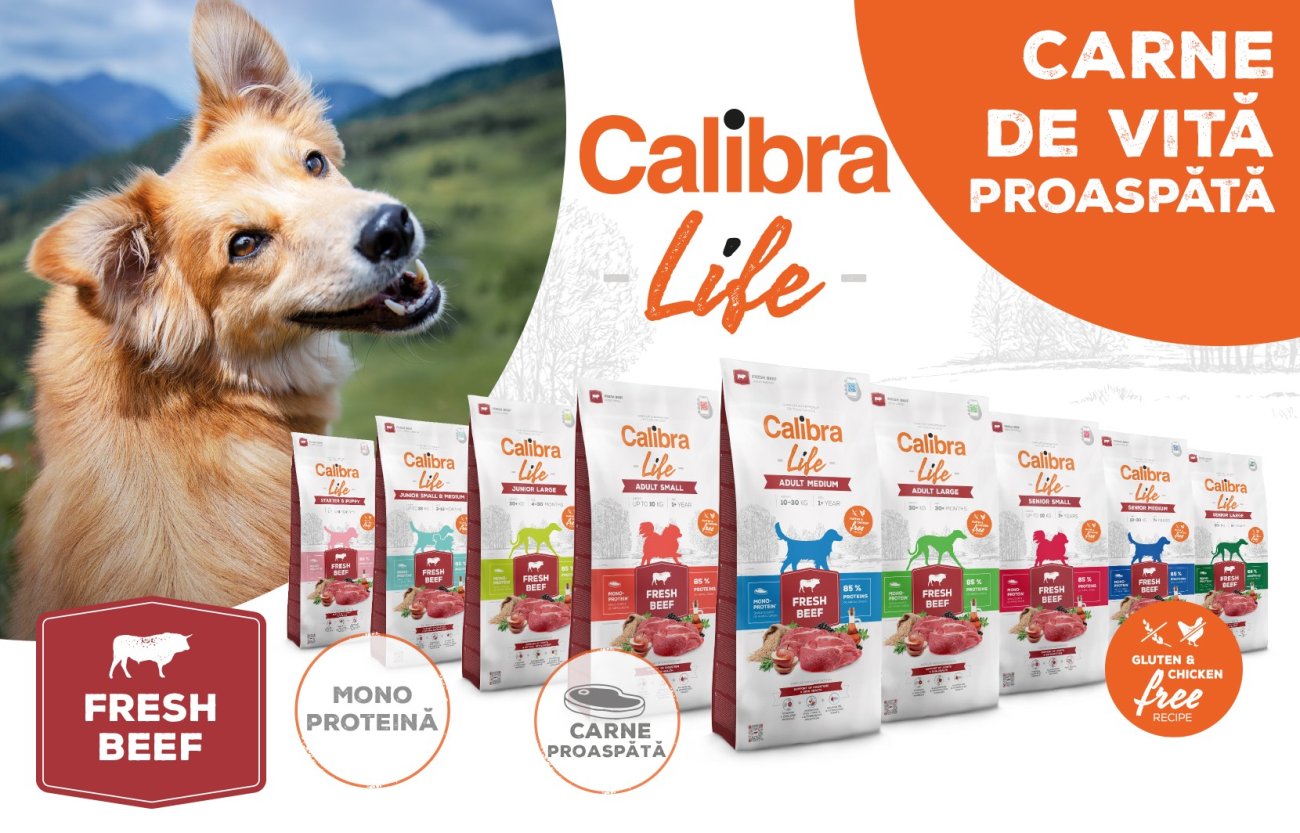 Imaginea unui câine și a granulelor din gama Calibra Life cu textul: Carne de vită proaspătă, monoproteină, fresh beef