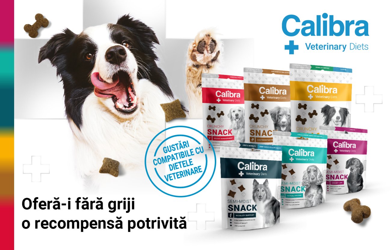 Imaginea unui câine și 6 tipuri de gustări Calibra VD Snack + text: Oferă-i fără griji o recompensă potrivită
